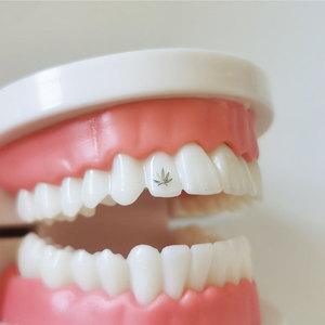 Best Price Medical Pure Titanium Teeth Gems Hot Selling Multi-Purpose Oral Hygiene Jewelry Five Leaf Slover Teeth with Promotion - Product Image 6