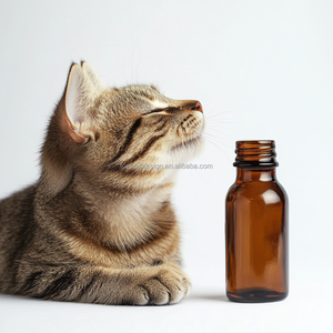 מכה מחמד דפוס בקבוק המחמד מכה דפוס מתיחה דפוס מכה דפוס עבור בקבוקים לחיות מחמד - Product Image 1