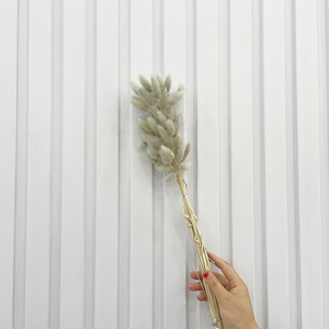 Erba di Coniglio Naturale Essiccata Ecologica, Decorazione <span class=keywords><strong>Boho</strong></span> per la Festa della Mamma e San Valentino - Product Image 2