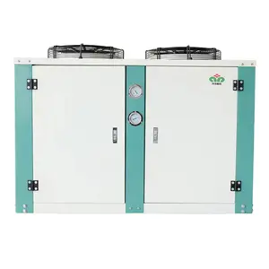 High Quality Wholesale Cheap Small Condensing Unit For Refrigeration Cold Room