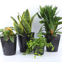 Pot de pépinière écologique de 1 gallon à prix abordable, noir, respirant, contemporain, avec plateau de plantation et doublure en PE/PP pour jardin