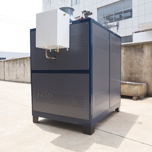 Gas generator 0.5T gas boiler low nitrogen <b>30</b> mg oil engine natural gas - Product Image 2
