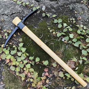 Pioche de 1,5 kg, 1,8 kg, 2 kg, petite pioche à essence en acier noir avec manche, prix fabricant P406 - Product Image 6