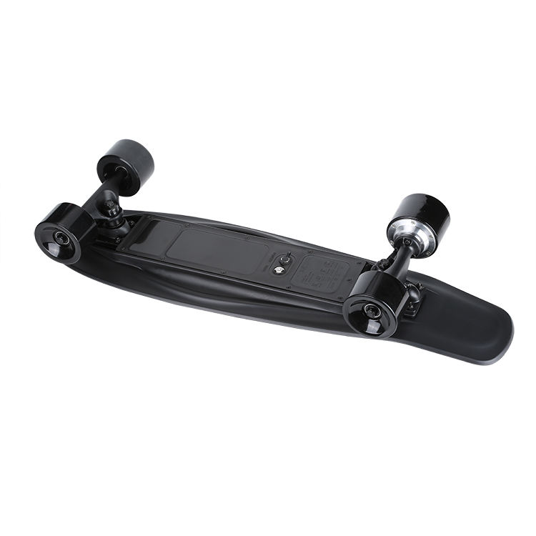 Factory Wholesale 350W Motor Electric Skateboard for Outdoor