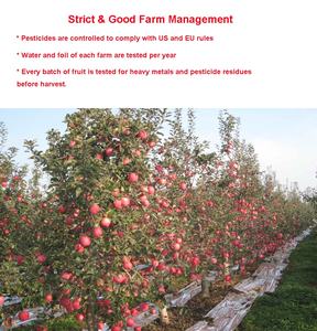 Atacado China Frutas Secas Snacks Doce Liofilizado Cubos De Maçã Preservados Fatiado Aveia Add-On Embalagem Em Massa - Product Image 3