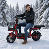 Vélo de livraison urbain électrique 500W 48V avec écran numérique et panier avant, modèle Step-Through, vente en gros