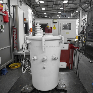 電源変圧器10kV 15KVA 25KVA 50/60Hz遠隔山岳エリアにポール設置15KV入力電圧50Hz周波数
