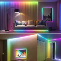 Rubans Lumineux Néon LED 24V Contrôle Intelligent par APP RGBIC, Étanches IP65 pour Extérieur, Néon LED Flexible