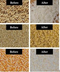 New Design Grain Peeler Machine <b>Bean</b> Peeling Machine For Wholesales - Product Image 2