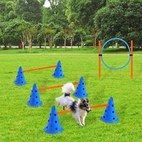 Kit d'entraînement d'agilité pour chien avec barre de saut et parcours d'obstacles combiné Équipement d'entraînement Premium pour animaux de compagnie
