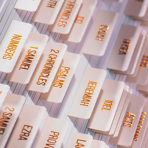 Onglets de Bible laminés, lettrage doré et résumés de livres, autocollants à grand format <span class=keywords><strong>repositionnables</strong></span> pour une navigation facile - Product Image 5