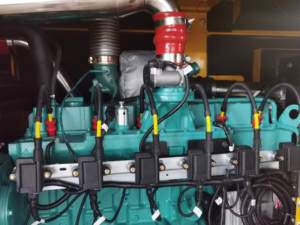 Generador Portátil Silencioso de Gas Natural de 80-110kW con Arranque Automático 50/60Hz 6C8.3G-G150, Generador Silencioso de Gasolina/GN - Product Image 6