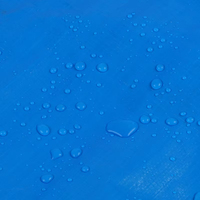 Bâche en polyéthylène bon marché de 60 x 60 pieds, couleur bleu argent