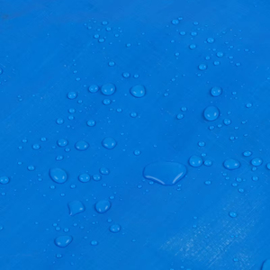Bâche en polyéthylène bon marché de 60 x 60 pieds, couleur bleu argent - Product Image 2