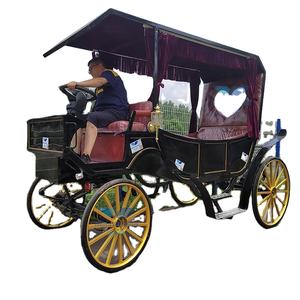 Customized Fashion Horseless Electric Carriage with <b>Canopy</b> <b>for</b> Sightseeing Special Transportation <b>for</b> <b>Sale</b> - Product Image 2