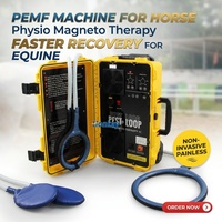 Appareil de magnétothérapie PEMF pour le soulagement des douleurs corporelles des chevaux, machine de physiothérapie PEMF