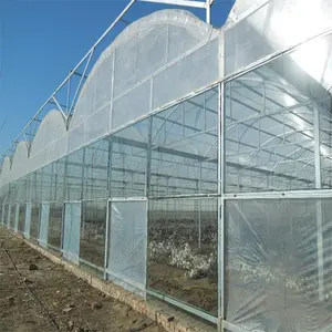 Multi-span commercial greenhouse multi-span film greenhouse sale with hydroponic system