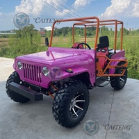 Caiteng Buggy 4x4 Automatique 1500cc 350cc 300cc 250cc Essence Électrique Mini Jeep Tricycle Adulte Châssis de Dune Buggy