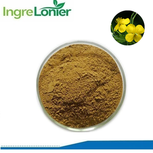 Grosir 10:1 alami murni, 20:1 ekstrak Calandine herbal <span class=keywords><strong>Chelidonium</strong></span> Matus bubuk ekstrak dalam jumlah besar - Product Image 2