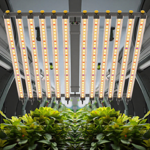 Luz de cultivo Led de 600W, planta de espectro completo multiespectral única, reemplazo de <span class=keywords><strong>Hps</strong></span> Hid Cmh Samsung Lm301h Evo 650W Lm281B Toplight - Product Image 2