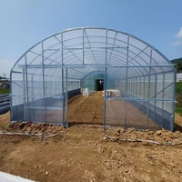 Enkelspannings landbouwkassen en landbouwtunnels van PE-plasticfolie, kweektenten, tomatenkassen te koop