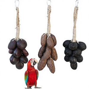 Jouets à mâcher écologiques <span class=keywords><strong>pour</strong></span> perroquets de grande et moyenne taille avec fruits naturels, fruits en filet <span class=keywords><strong>pour</strong></span> le broyage quotidien des dents - Product Image 1