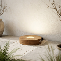 Enceintes Bluetooth portables pour fêtes, maison et bureau avec son haute fidélité et fonction d'annulation du bruit, lampe boule de cristal