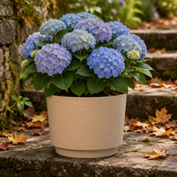 Pot Bunga Plastik PP Minimalis Modern Grosir, Ringan, Tahan Lama, Berlubang Drainase, Ukuran Besar, Untuk Tanaman Indoor/Outdoor