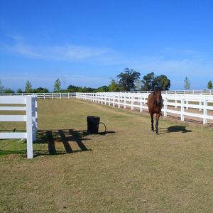 Valla Deportiva de Alta Calidad de 1.8m para Rancho de Caballos, Rieles Decorativos de Metal para Ganado, Cerca de Listones de Aluminio con Paddock de Acero para Uso en Granja - Product Image 3