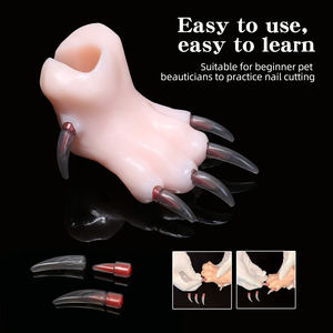 Modello Didattico in Silicone di Zampa di Cane, per Scuole di Toelettatura, Pratica di Taglio Unghie per Junior Estetisti per Animali - Product Image 3