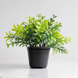 Bonsái de escritorio, simulación de plantas verdes para interiores, decoración de bonsái pequeña, accesorios para el hogar, plantas, regalo OEM /ODM, bonsái pequeño - Product Image 3