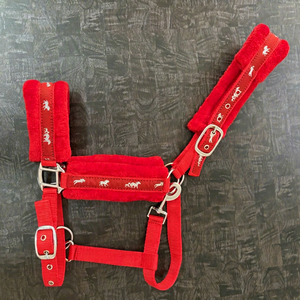 Juego de Cabestro y Cuerda de Tracción para Caballo de PP de Alta Calidad con Forro de Felpa Suave y Decoración de Cinta para Caballo, Herrajes de Hierro Niquelado - Product Image 1