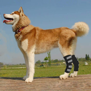 Pet Dog tutore per la gamba posteriore del garretto della gamba del cane canino regolabile avvolge la manica di protezione ortopedica di recupero - Product Image 6
