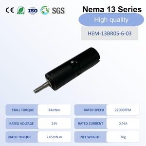 Motore Brushless BLDC Nema13 24V 22200RPM 0.94A 15.7W Personalizzato, Impermeabile con Montaggio a Flangia, Certificato CE per Macchine CNC - Product Image 1