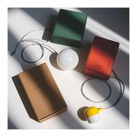 Bonne vente Plant Gray Eco Friendly Present Box