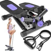 Offre Spéciale : Ensemble de Mini Stepper Personnalisé 150 kg avec Bandes de Résistance – Équipement de Musculation du Fabricant pour Usage Domestique (3-10 kg)