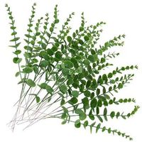 Feuilles d'eucalyptus artificielles Grevillea, plante 'Silver Dollar', verdure artificielle pour la décoration de la maison, du bureau, de la table de mariage, vente en gros