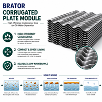 Unidad de Placas Corrugadas Tipo Cajón BRATOR ODM Disponible, Estructura Compacta, Placa de Separación de Aguas Residuales Oleosas, 10m/h, CE ISO