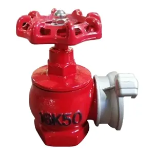 Top Quality 2" Fire Fighting Hydrant Valve Ductile Iron Fire Landing Valve For Russia