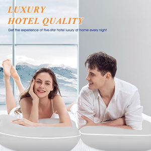 Lot de <span class=keywords><strong>2</strong></span> oreillers en microfibre et polyfibre Queen Size Alternative rempli et lavable en machine pour un entretien facile - Product Image 2