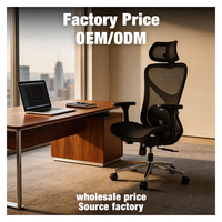 Chaise de bureau exécutive moderne en maille 3D, ergonomique, avec accoudoirs réglables et verrouillage d'inclinaison, pour usage domestique, bureau, hôtel, école, garantie 3 ans