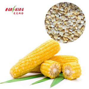 Großhandel gefrorene Zucker mais kerne - Product Image 1
