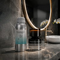 Huile Essentielle Concentrée Naturelle à Base d'Extraits Végétaux pour Diffuseur, 500 ml, Parfum Boisé pour Hôtels et Maisons
