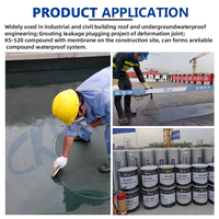 Peinture d'étanchéité en bitume liquide écologique CKS, bitume caoutchouc, pour toiture et bâtiment