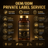 Capsules MAN PLUS EXTRA avec Vitamine C – Énergie Naturelle & Soutien Immunitaire pour Hommes Adultes – Vente Directe Usine, Faible MOQ & OEM