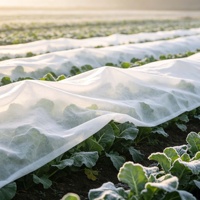 Couverture respirante non tissée pour la protection contre le gel des légumes, des semis et des cultures en serre