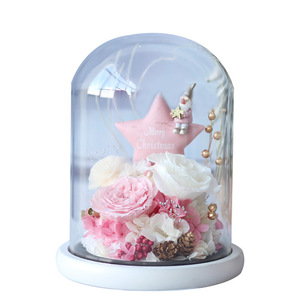 Cubierta de Cristal Creativa 2026 con Flor Eterna, Rosa Estrella de Navidad, Regalo Romántico para el Día de San Valentín - Product Image 6