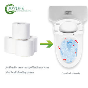 थोक सुविधा 3 प्लाई टॉयलेट पेपर - Product Image 5