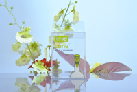 Boîte cadeau en plastique PP/PET/PVC transparent recyclable personnalisée en usine pour l'emballage de gâteau