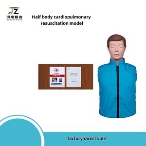 Modello di Rianimazione Cardiopolmonare a Mezzo Busto di Alta Qualità, Vendita Diretta dal Produttore - Product Image 2